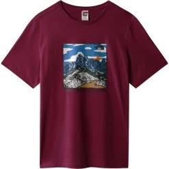 THE NORTH FACE M SEASONAL GT CORDOVAN 23