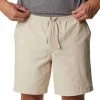 COLUMBIA SCENIC RIDGE PULL-ON SHORT ON SHO ANCIENT FOSSIL 22 1 COLUMBIA SCENIC RIDGE PULL-ON SHORT ON SHO ANCIENT FOSSIL 22 -Volcom Boutique 9 116148 scenic ridge pull on short on sho ancient fossil 1990893 271 01