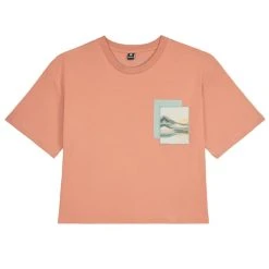 PICTURE BLEIK TEE W CEDAR WOOD 23