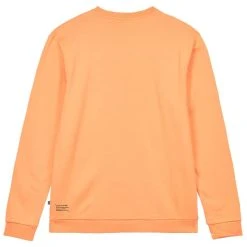 PICTURE AUTHENTIC CREW M PUMPKIN 23 5 PICTURE AUTHENTIC CREW M PUMPKIN 23 -Volcom Boutique 9 123655 msw390 b 02