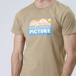 PICTURE PAYNE TEE DARK STONE 23 -Volcom Boutique 9 123670 mts1016 b 05